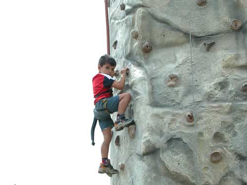 Harry on the climbing wall